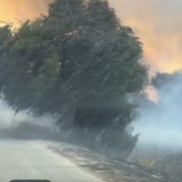 VIDEO Incendiu de vegetație la...